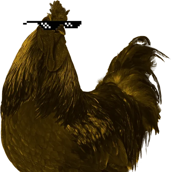 The gold rooster in pixel sunglasses, looking extremely pleased